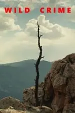No movie thumbnail